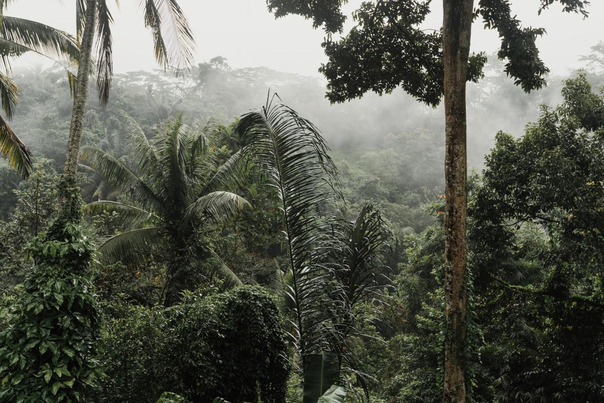The Iyang Ubud Εξωτερικό φωτογραφία